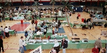 Chicago Herp Society's Reptile Fest