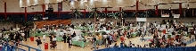 Chicago Herp Society's Reptile Fest