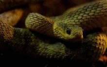 My visit to Forever Wild