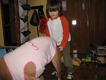 Would you hire a pit bull to babysit?