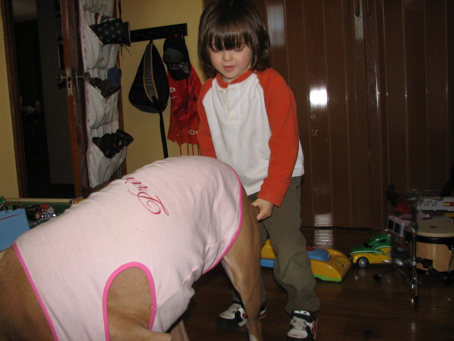 Would you hire a pit bull to babysit?