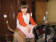 Would you hire a pit bull to babysit?