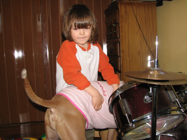 Would you hire a pit bull to babysit?