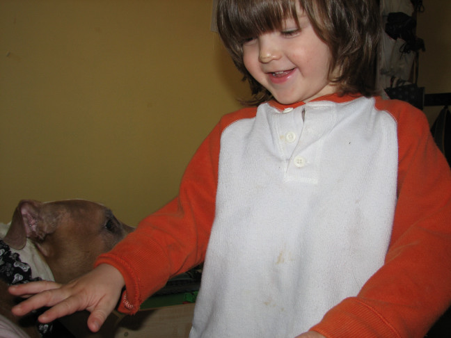 Would you hire a pit bull to babysit?