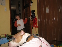 Would you hire a pit bull to babysit?