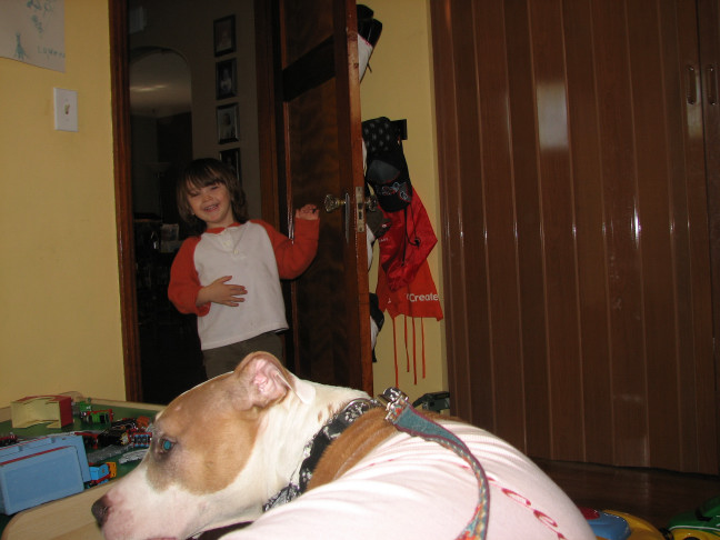 Would you hire a pit bull to babysit?