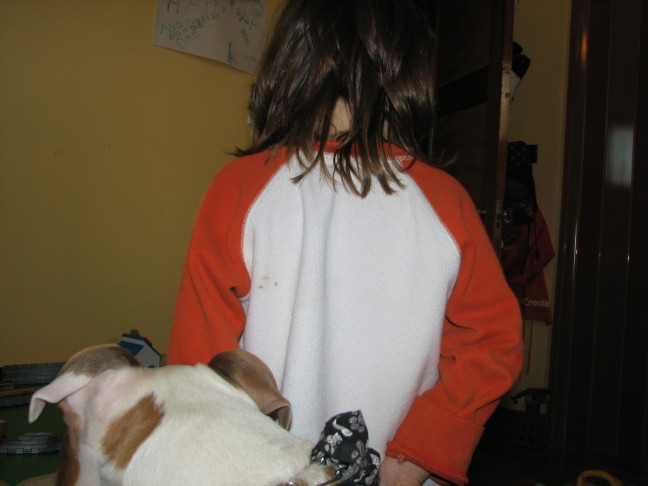 Would you hire a pit bull to babysit?