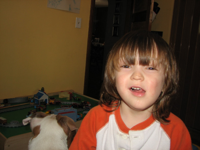 Would you hire a pit bull to babysit?