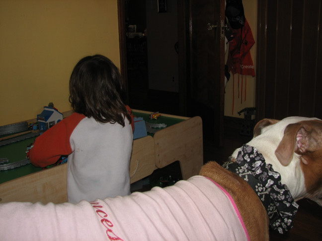Would you hire a pit bull to babysit?