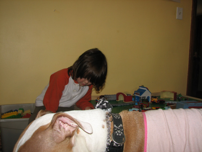 Would you hire a pit bull to babysit?