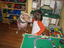 Would you hire a pit bull to babysit?