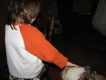 Would you hire a pit bull to babysit?