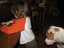 Would you hire a pit bull to babysit?