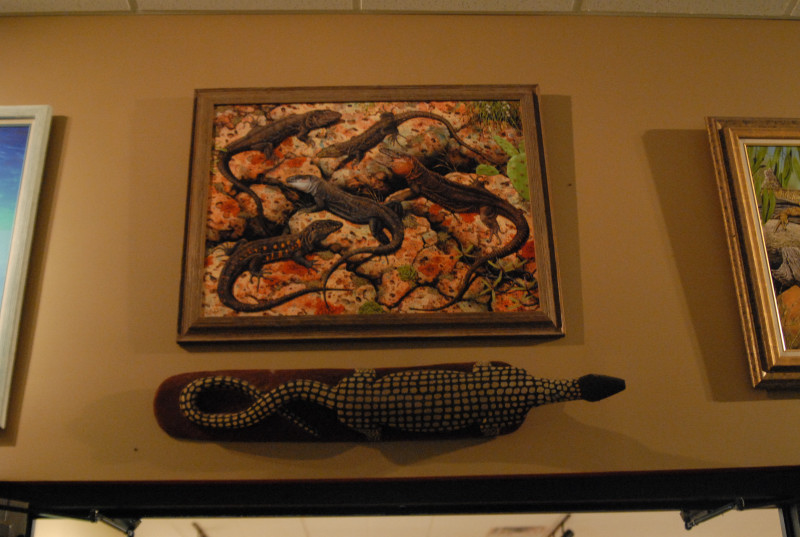 Chiricahua Desert Museum and ABQ Bio Park