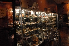 Chiricahua Desert Museum and ABQ Bio Park