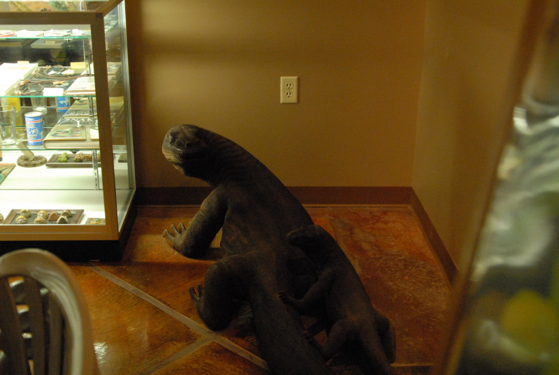 Chiricahua Desert Museum and ABQ Bio Park