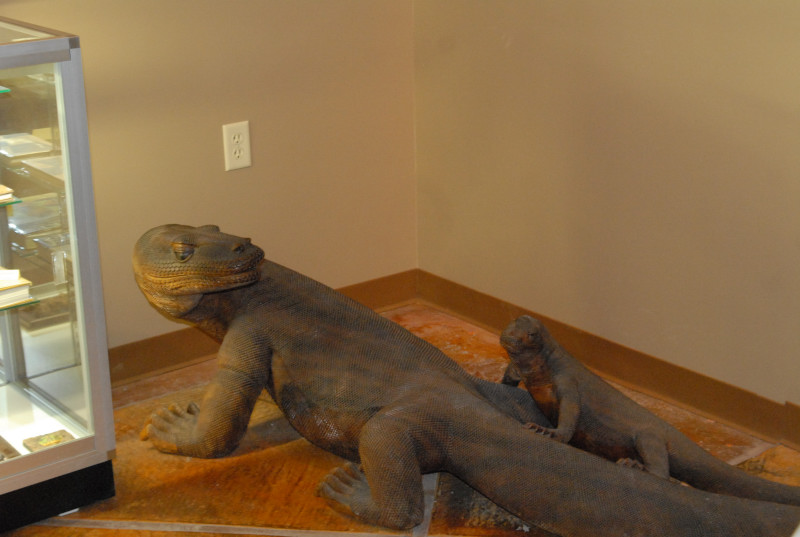 Chiricahua Desert Museum and ABQ Bio Park