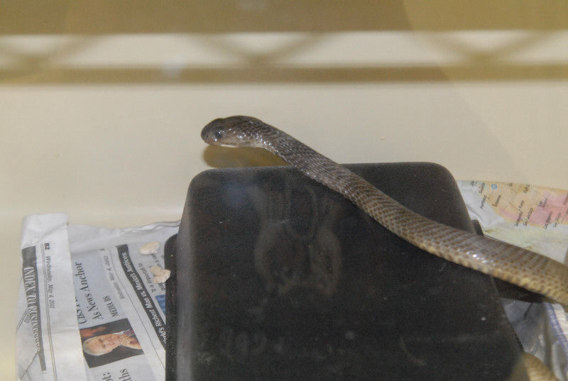 Chiricahua Desert Museum and ABQ Bio Park