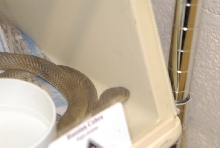 Chiricahua Desert Museum and ABQ Bio Park