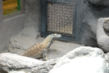 Chiricahua Desert Museum and ABQ Bio Park