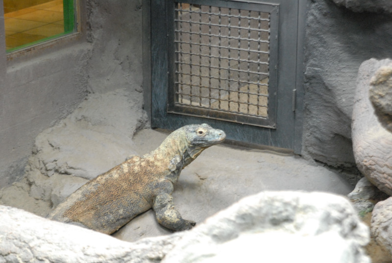 Chiricahua Desert Museum and ABQ Bio Park