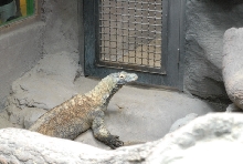 Chiricahua Desert Museum and ABQ Bio Park