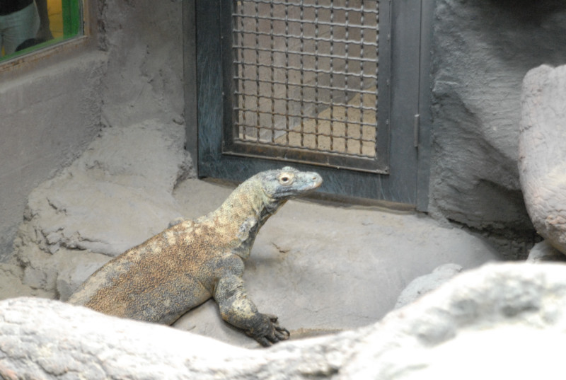 Chiricahua Desert Museum and ABQ Bio Park