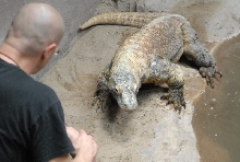 Chiricahua Desert Museum and ABQ Bio Park