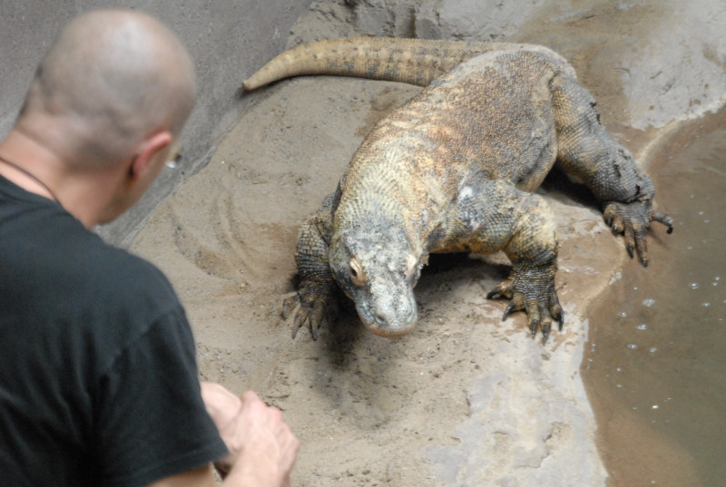Chiricahua Desert Museum and ABQ Bio Park