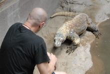 Chiricahua Desert Museum and ABQ Bio Park