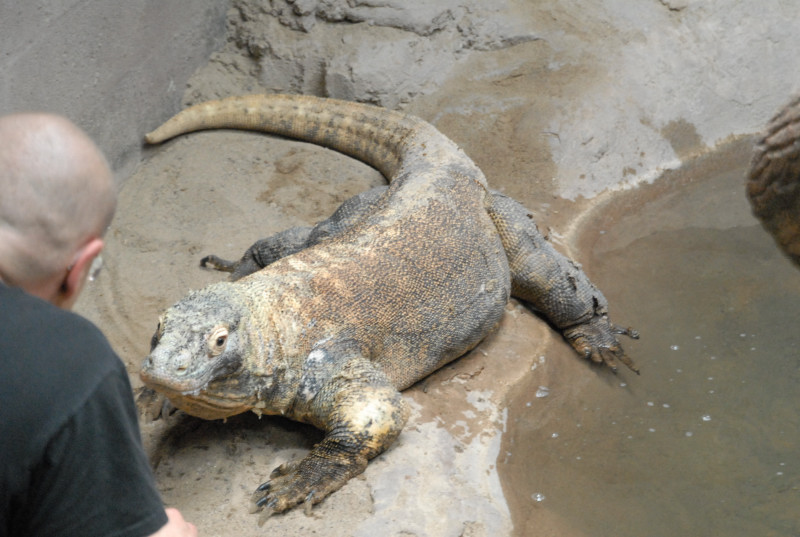 Chiricahua Desert Museum and ABQ Bio Park