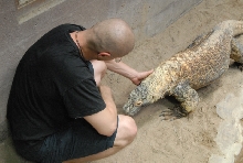 Chiricahua Desert Museum and ABQ Bio Park
