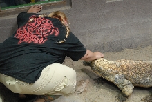 Chiricahua Desert Museum and ABQ Bio Park