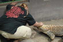 Chiricahua Desert Museum and ABQ Bio Park