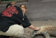 Chiricahua Desert Museum and ABQ Bio Park