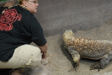 Chiricahua Desert Museum and ABQ Bio Park