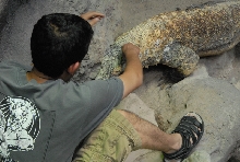 Chiricahua Desert Museum and ABQ Bio Park