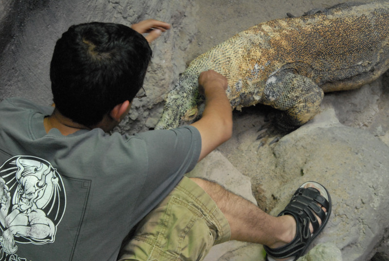 Chiricahua Desert Museum and ABQ Bio Park