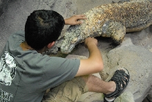 Chiricahua Desert Museum and ABQ Bio Park