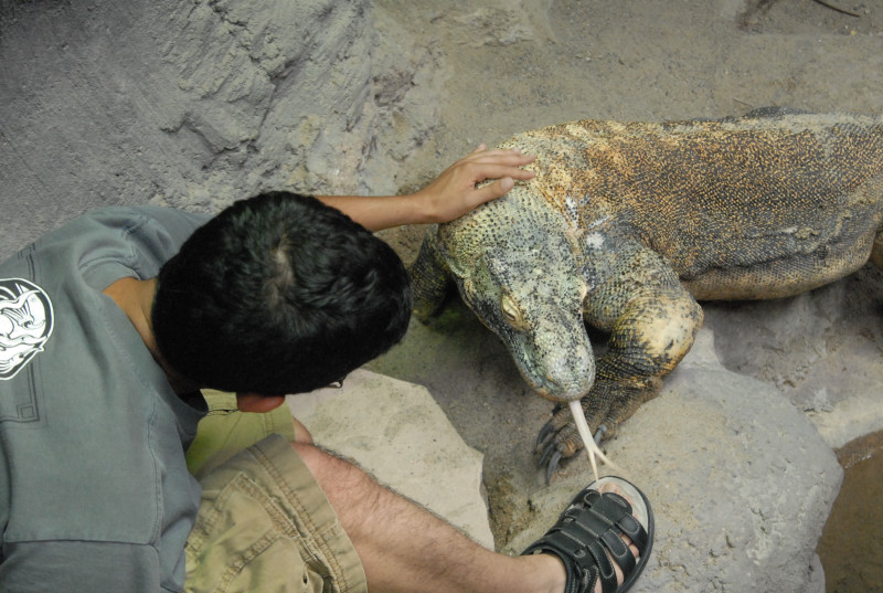 Chiricahua Desert Museum and ABQ Bio Park
