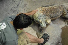Chiricahua Desert Museum and ABQ Bio Park