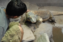 Chiricahua Desert Museum and ABQ Bio Park