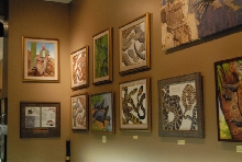 Chiricahua Desert Museum and ABQ Bio Park