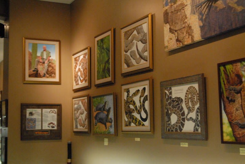 Chiricahua Desert Museum and ABQ Bio Park