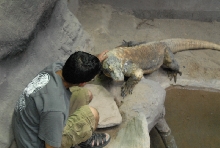 Chiricahua Desert Museum and ABQ Bio Park