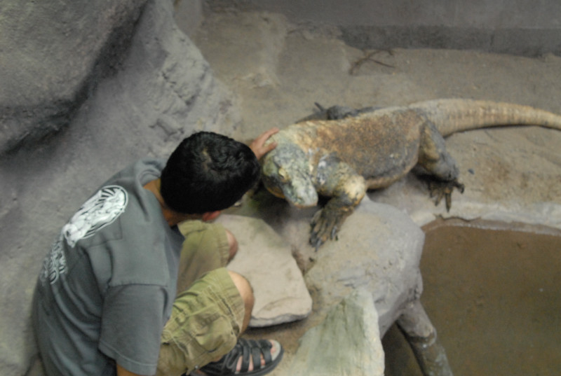Chiricahua Desert Museum and ABQ Bio Park