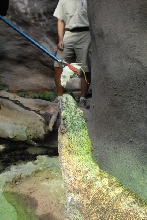 Chiricahua Desert Museum and ABQ Bio Park