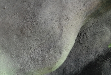 Chiricahua Desert Museum and ABQ Bio Park