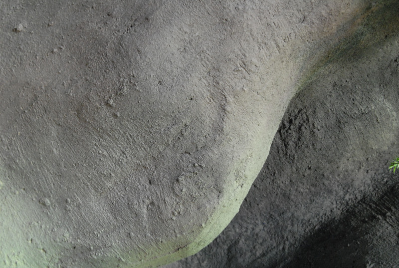 Chiricahua Desert Museum and ABQ Bio Park