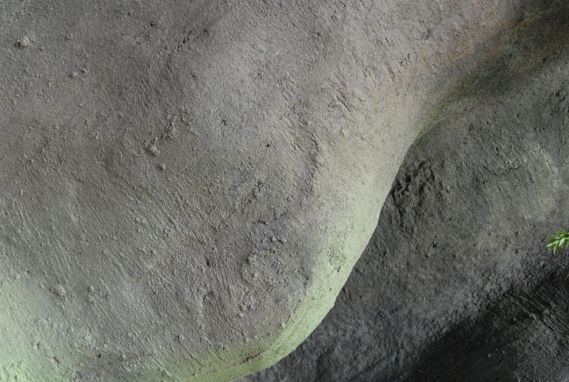 Chiricahua Desert Museum and ABQ Bio Park